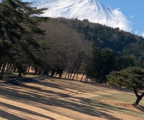 １月ももう終わりですね イメージ