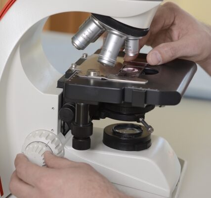 大羽精研　検査 イメージ