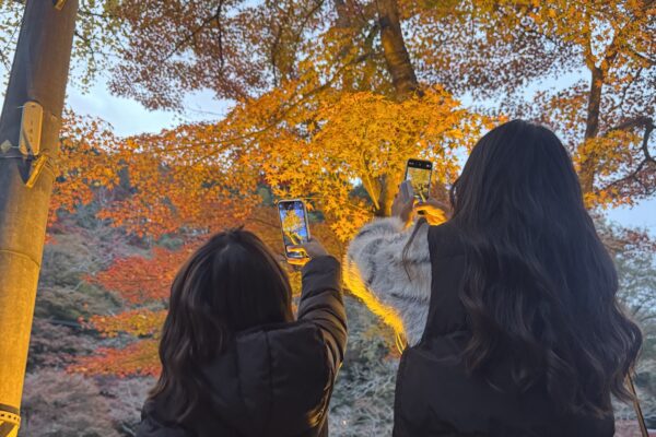 秋の始まり🍁 イメージ